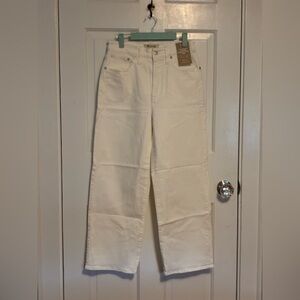 Madewell Perfect Vintage Crop Jeans in Tile White, size 27, NWT
